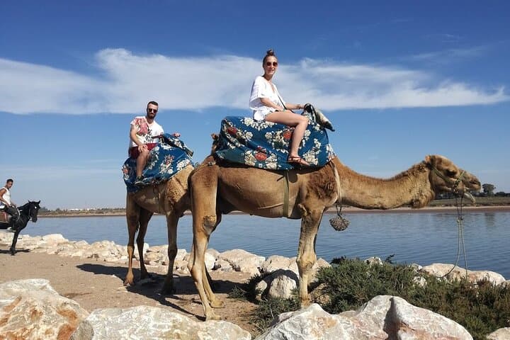 Agadir Dromedary Safari: 2-Hour Camel Ride on the Dunes & Flamingo Flats photo 4