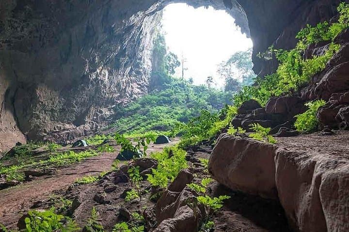 One Day Caving and Trekking in Phong Nha-Ke Bang National Park photo 3