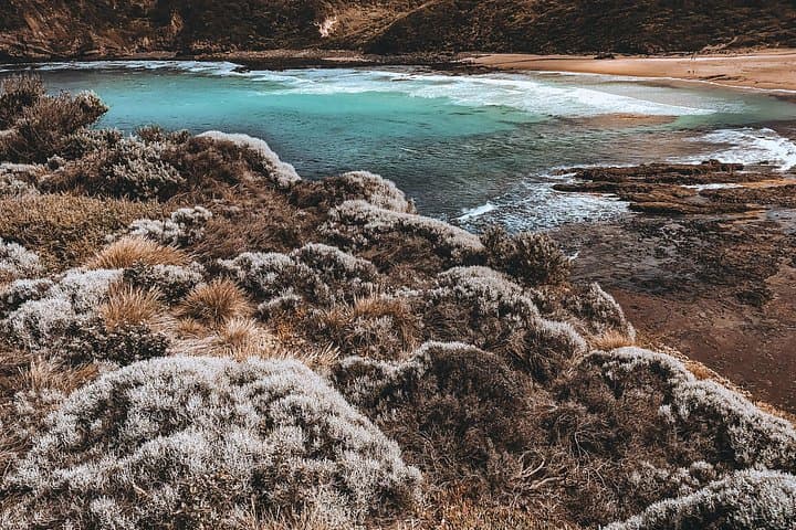 Private Mornington Peninsula Hike & Peninsula Hot Springs Day Tour from Melbourne