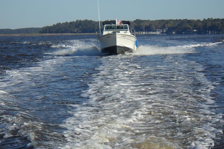 Private Sightseeing Boat Tour in Savannah — Intracoastal & Moon River Cruise photo 3