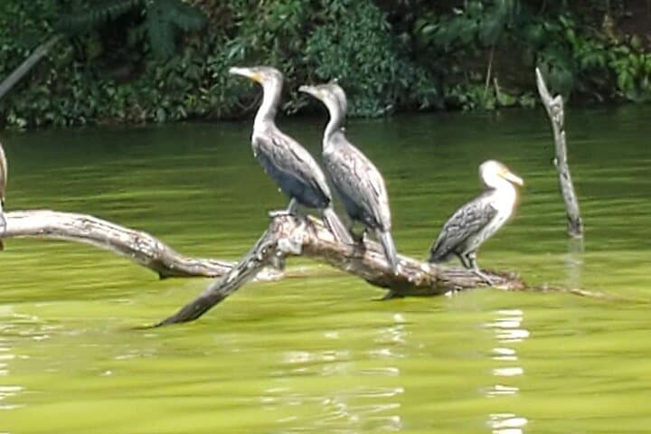 Paddle or Hike Lake Duluti: Private Tour with Mount Meru Views photo 5