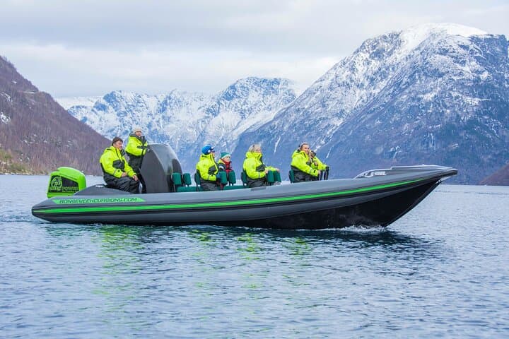 Guided RIB Tour in Geirangerfjord: Waterfalls, History & Wildlife