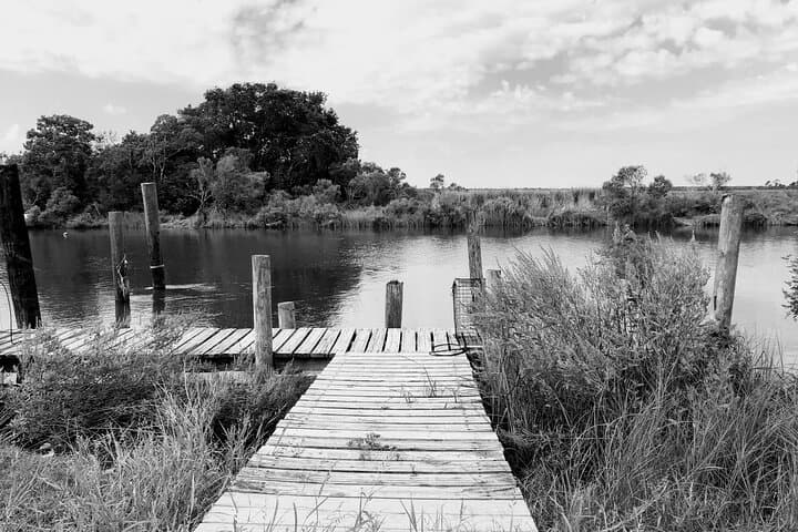 Haunted Bayou Cruise: Ghost Stories and Gators on Bayou Caddy