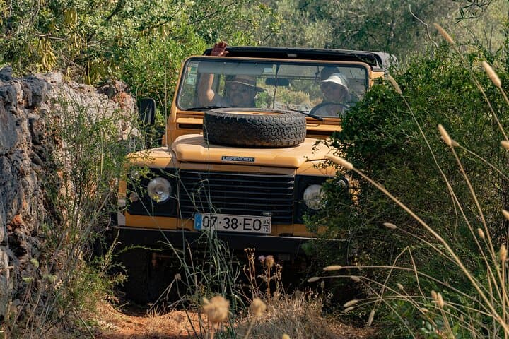 Algarve Countryside Private Safari: Paderne, Alte & Cork-Oak Forests