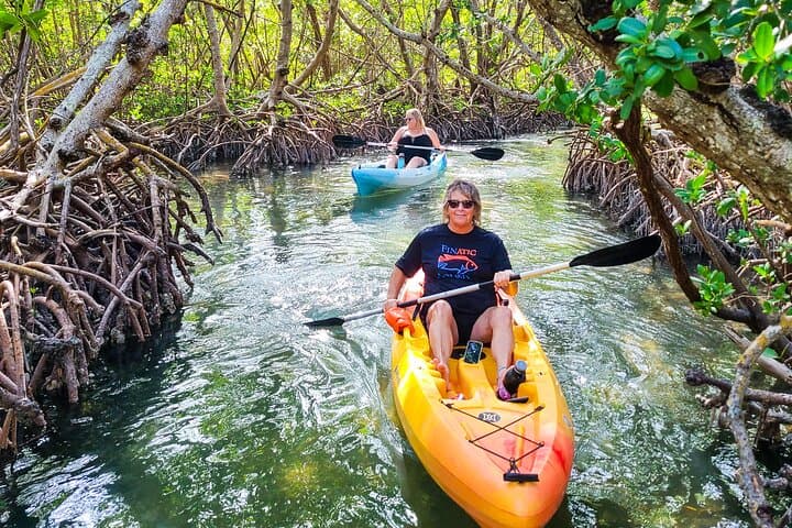 Siesta Key Kayak Tour — Mangrove Tunnels, Manatees & Midnight Pass Sandbar photo 2
