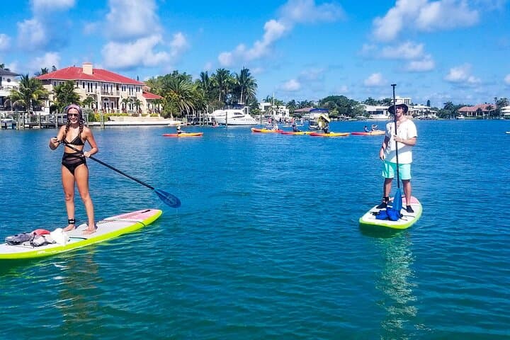 Siesta Key Kayak Tour — Mangrove Tunnels, Manatees & Midnight Pass Sandbar photo 4