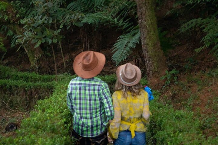 Two-Day Jonotla and Cuetzalan Adventure: Waterfalls, Caves & Indigenous Towns photo 5