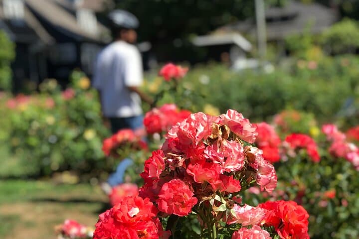 Bike Portland: Bridges, Murals, Poetry & Doughnuts on a 2–3 Hour City Ride photo 5