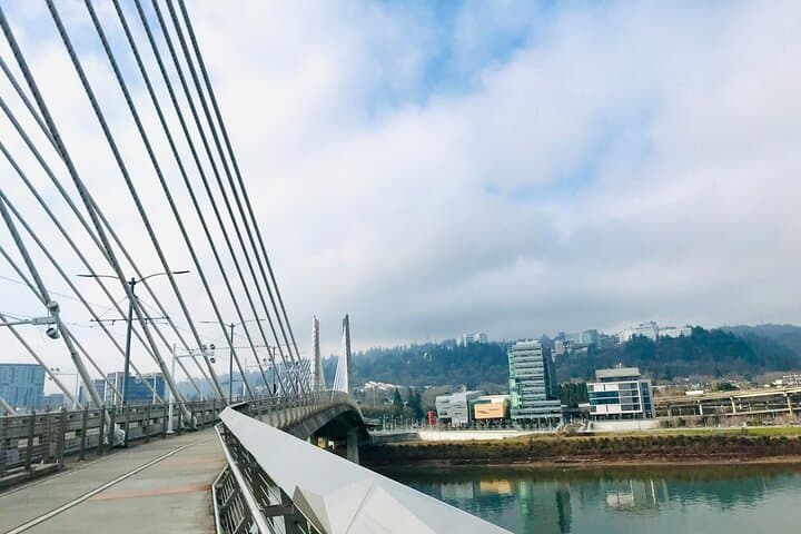 Bike Portland: Bridges, Murals, Poetry & Doughnuts on a 2–3 Hour City Ride photo 6