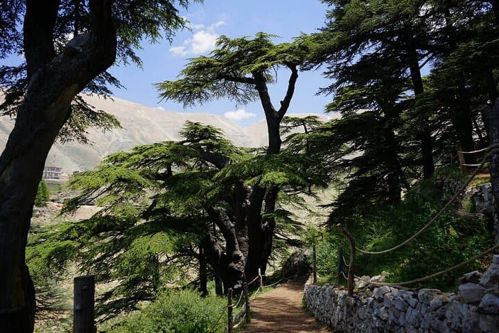 Qadisha Valley, Bcharre & Cedars: Small-Group Day Tour from Beirut photo 6