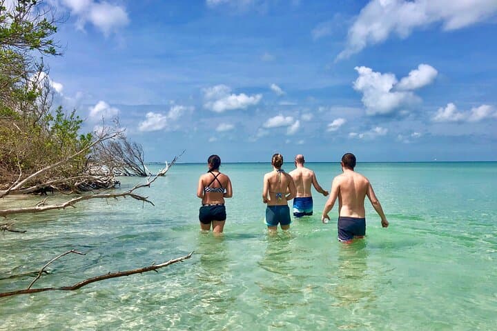 Guided Kayak Tour of Shell Key Preserve: Mangrove Tunnels, Seagrass & Beach Time photo 2