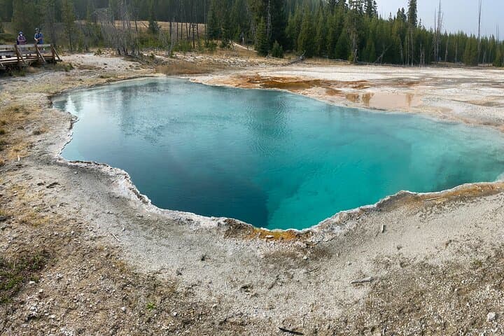 Private Small-Group Yellowstone Tour with Lunch — Lower Loop Highlights from Jackson photo 6