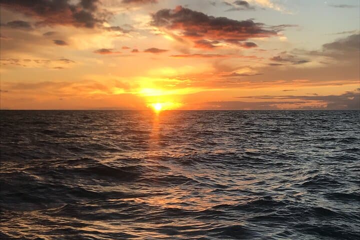 Kohala Coast Sunset Cruise from Kawaihae — Whale Watching & Green Flash