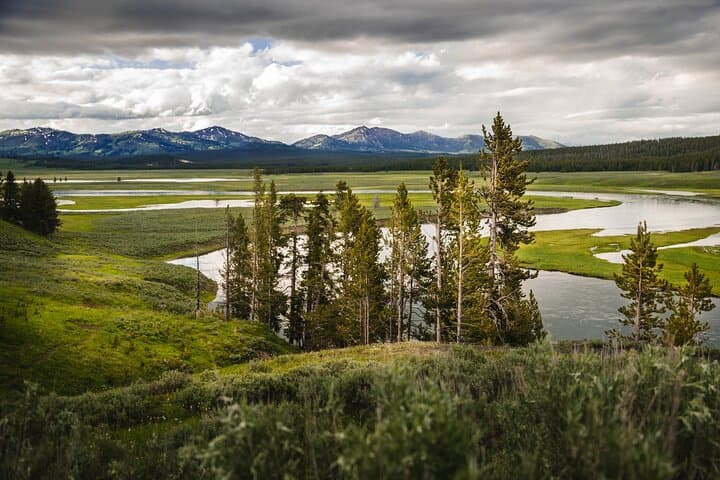 Private Full-Day Yellowstone Tour: Old Faithful, Grand Canyon & Hayden Valley Wildlife photo 4