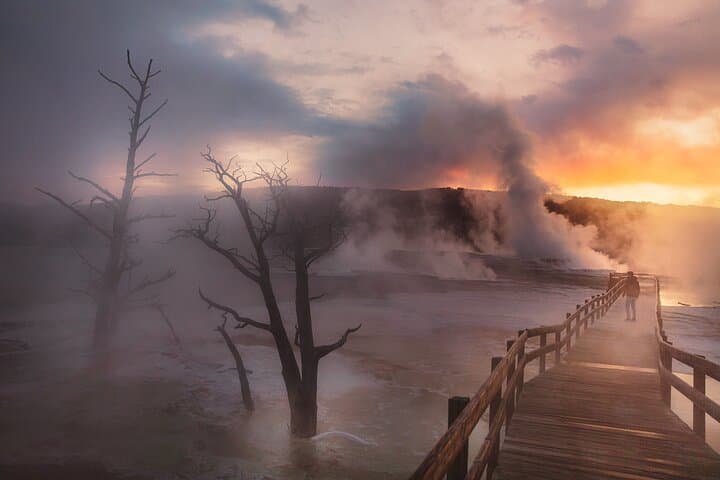 Private Full-Day Yellowstone Tour: Old Faithful, Grand Canyon & Hayden Valley Wildlife photo 6