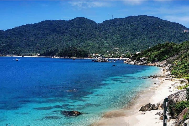 Cham Islands Scuba Diving: Full-Day Coral & Marine Park Tour from Hoi An