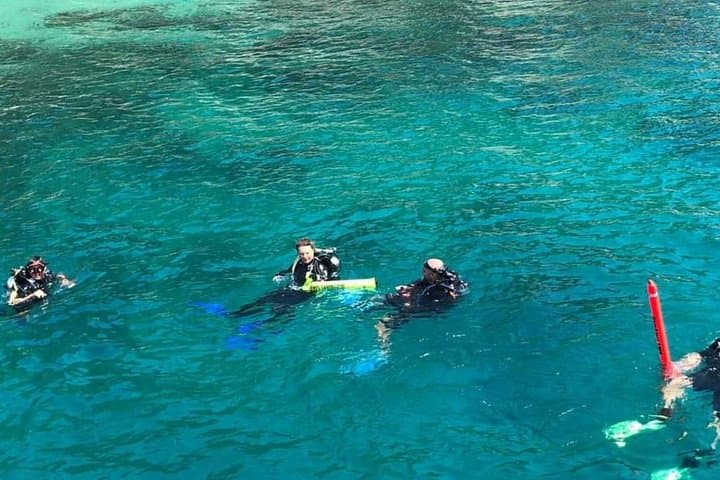 Cham Islands Scuba Diving: Full-Day Coral & Marine Park Tour from Hoi An photo 2