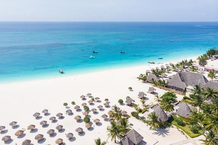 12-Day Tanzania Safari and Zanzibar Beach Escape