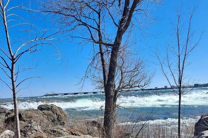 Niagara Falls Full-Sights Tour: Maid of the Mist, Cave of the Winds & Whirlpool Views photo 4
