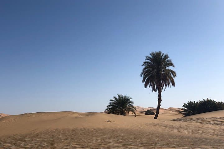 2-Day Zagora Desert Escape from Marrakech — Ait-Benhaddou, Draa Oasis & Luxury Camp photo 2