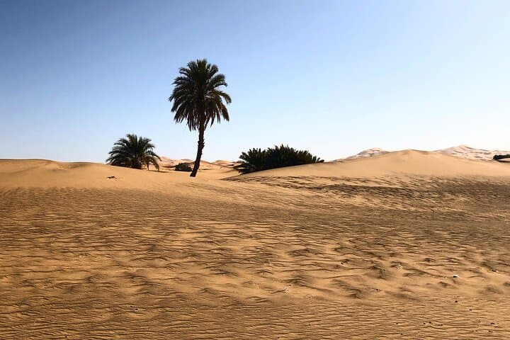 Morocco Desert Tour: 3-Day Marrakech to Merzouga Sahara Adventure photo 2
