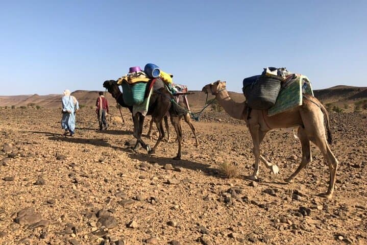 Across the Sands: 4-Day Private Desert Trek from M'Hamid to Chegaga photo 3