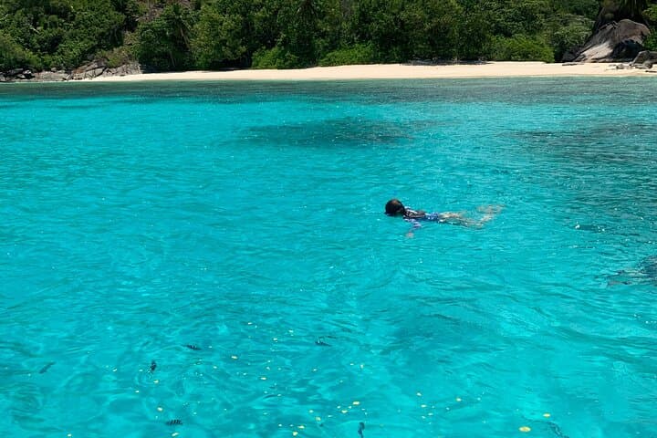 Reef Safari: Snorkel, Fish Feed & Creole BBQ in Sainte Anne Marine Park photo 2