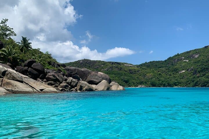 Reef Safari: Snorkel, Fish Feed & Creole BBQ in Sainte Anne Marine Park photo 4