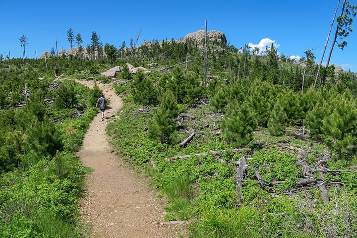 Devils Tower, Spearfish Canyon & Deadwood: Full-Day Waterfalls, History & Picnic photo 5