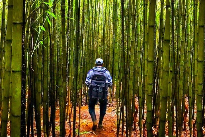 Discover Ram Tzul Natural Reserve: Rubel Chaim Waterfall & Bamboo Forest Day Tour photo 5