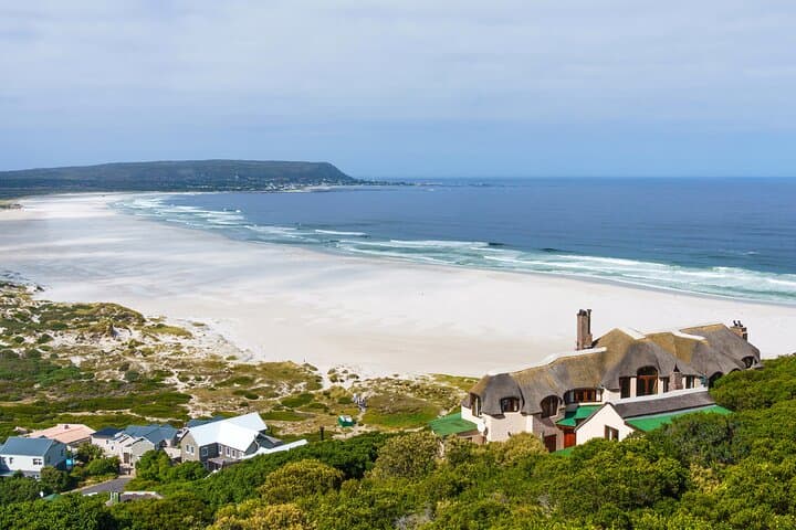 Cape Town Full-Day Private Tour: Table Mountain, Cape Point & Penguins photo 6