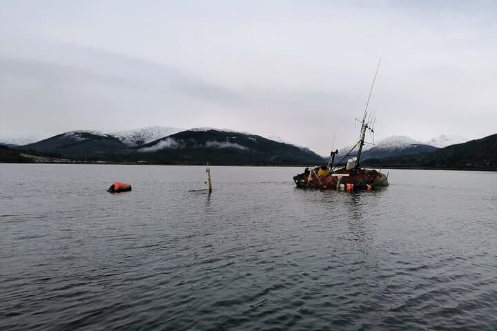 Doon The Watter: Clyde Coast Wildlife & Historic Piers Cruise photo 4
