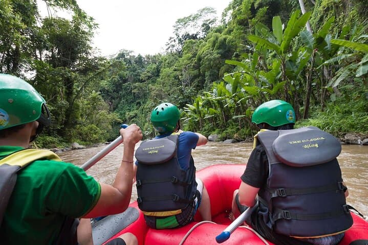 Ayung River White-Water Rafting & Bali Swing: Private Ubud Adventure photo 3