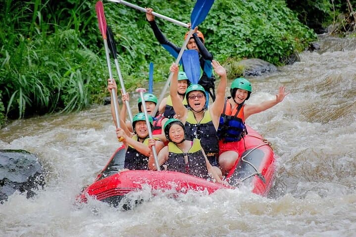 Ayung River White-Water Rafting & Bali Swing: Private Ubud Adventure photo 4