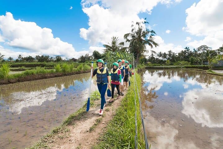 Ayung River White-Water Rafting & Bali Swing: Private Ubud Adventure photo 5