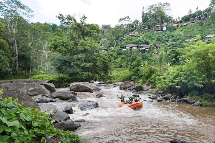 Full-Day Private Ayung River Rafting and Ubud City Tour photo 6
