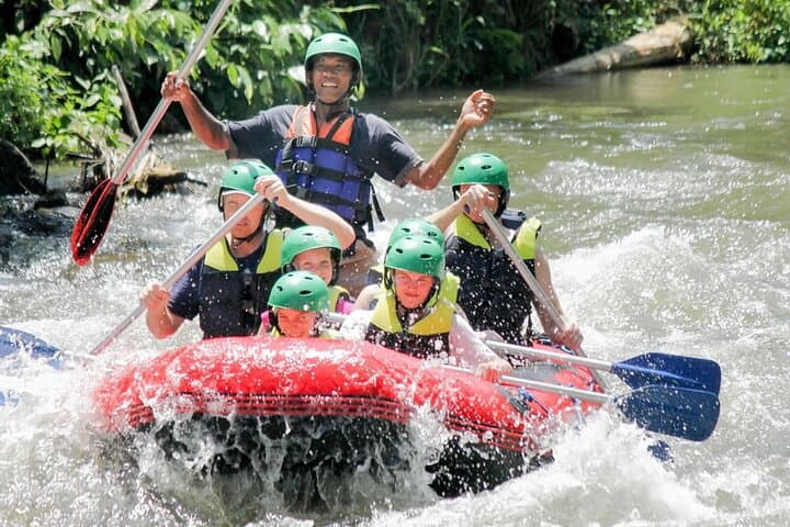 Ayung River White-Water Rafting & Bali Swing: Private Ubud Adventure