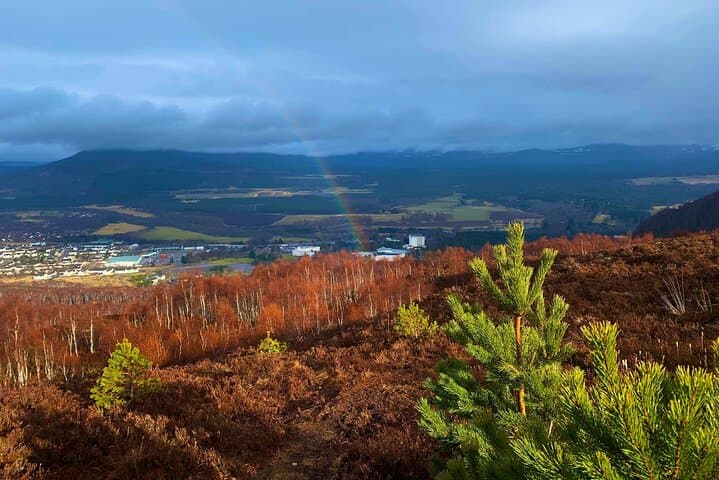 Private Cairngorm National Park Tour from Aviemore — Lochs, Reindeer & Highland History