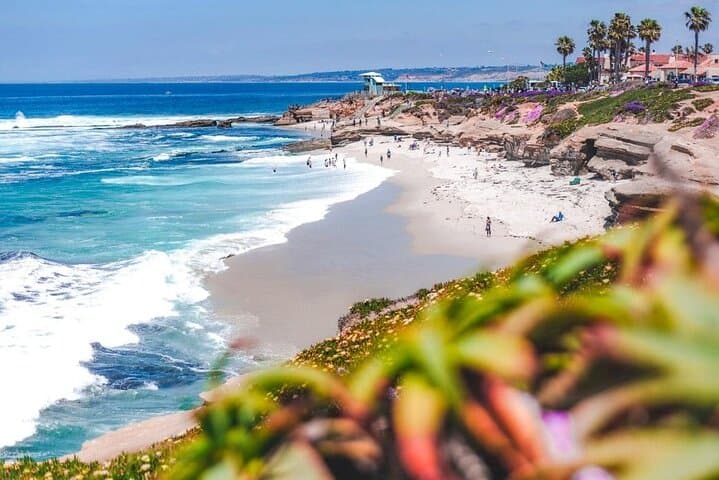 Private Business Car Transfer from San Diego Hotels to SAN Airport photo 5