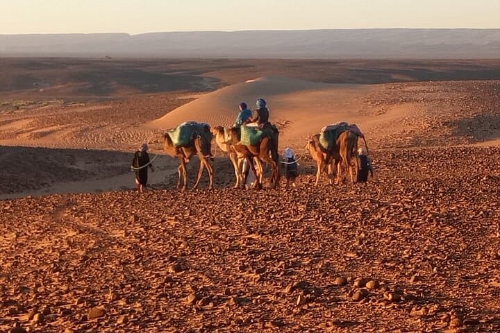 Across the Sands: 4-Day Private Desert Trek from M'Hamid to Chegaga