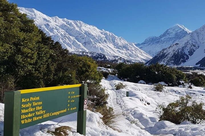 Queenstown to Christchurch via Mt Cook & Lake Tekapo: Small-Group Scenic Tour photo 3