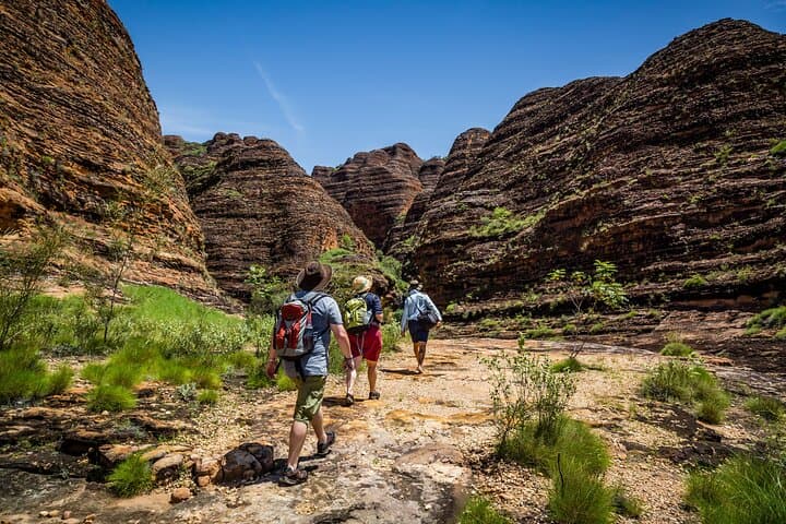 Bungle Bungle Scenic Flight and Cathedral Gorge Guided Walk from Kununurra photo 4