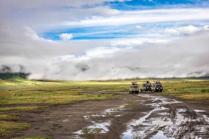Budget 6-Day Mid-Range Tanzania Safari: Tarangire, Serengeti & Ngorongoro photo 6