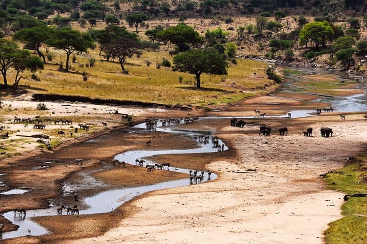 5-Day Great Wildebeest Migration Safari in Tanzania photo 4