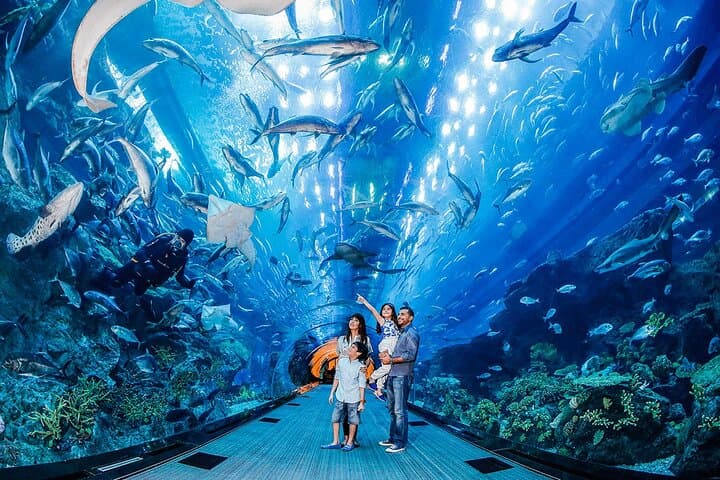 Modern Dubai Morning Tour: Burj Khalifa & Dubai Aquarium Experience photo 6