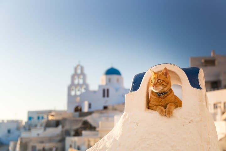 Santorini Insta Photography Tour — Best Photo Spots, Tips & Logistics photo 6