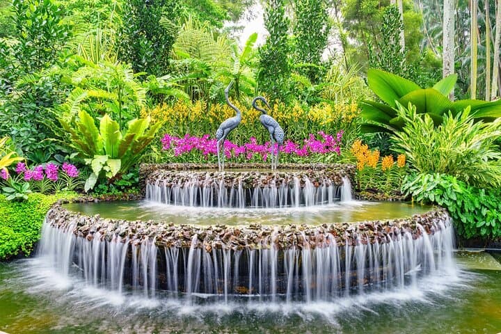 Singapore National Orchid Garden: Tickets, Tips & What to Expect photo 3