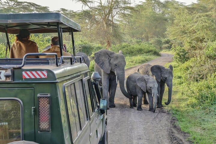 3-Day Serengeti & Ngorongoro Private Camping Safari