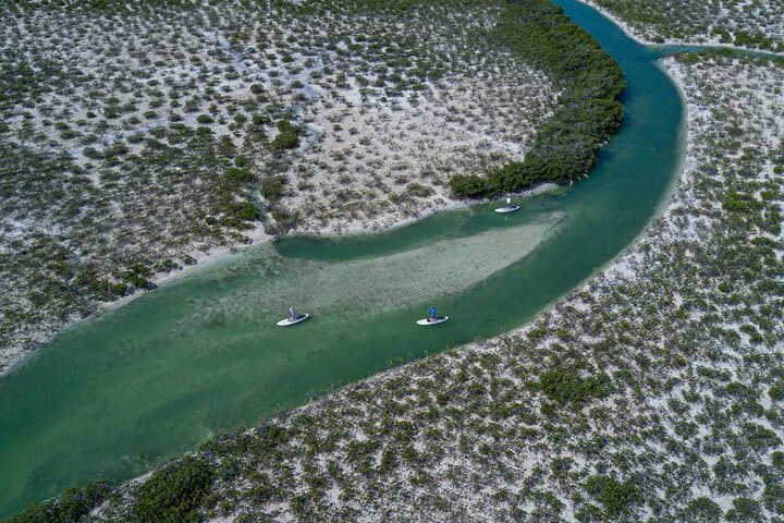 Providenciales Mangrove SUP Eco Tour — Paddle with Turtles and Rays photo 5