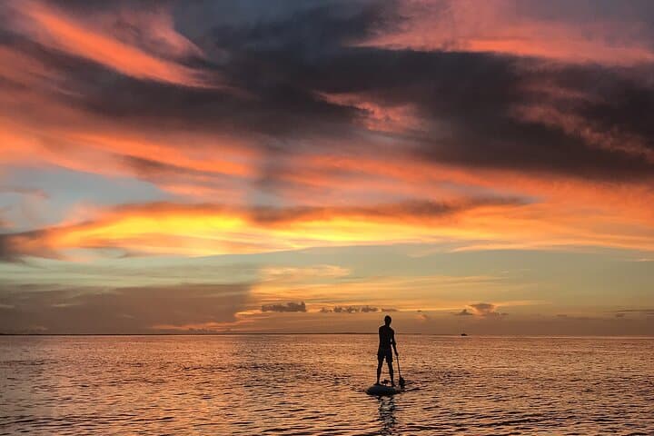 Providenciales Mangrove SUP Eco Tour — Paddle with Turtles and Rays photo 6
